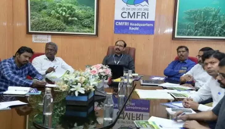 cmfri