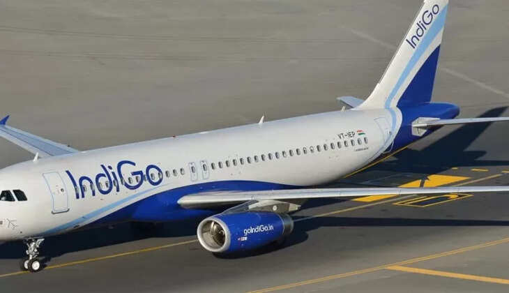Indigo