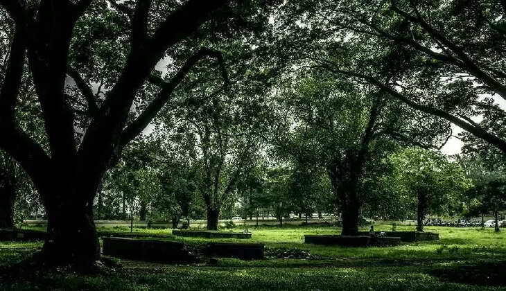 thekkinakadu maithanam