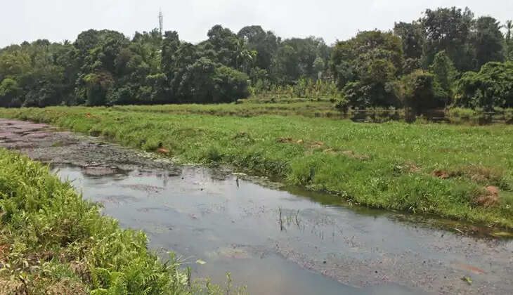 aranmula