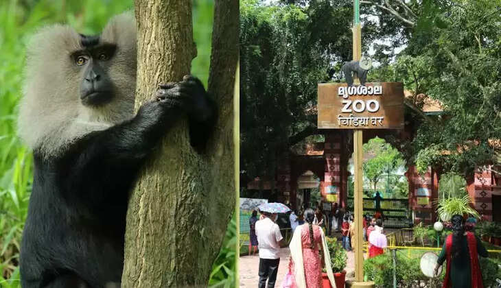 zoo