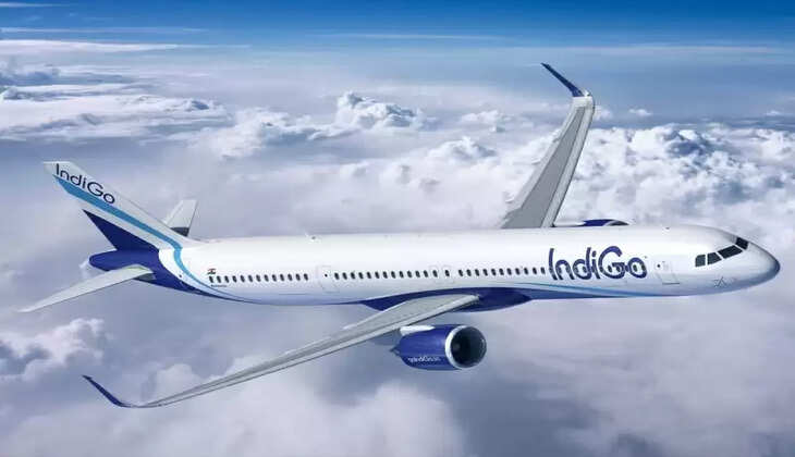 indigo
