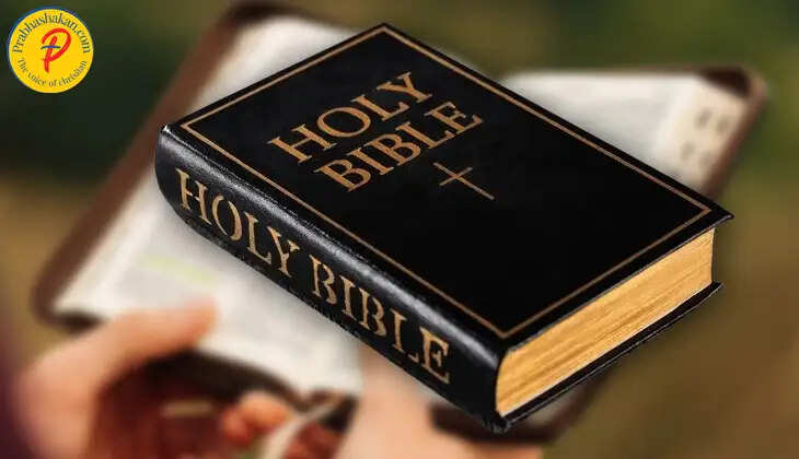 holly bible