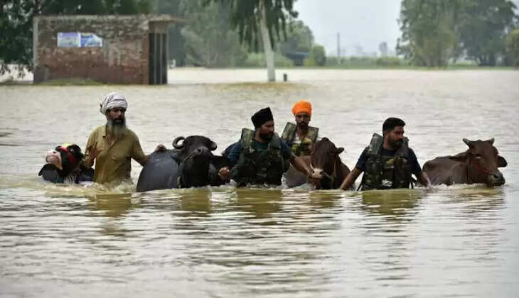 FLOOD