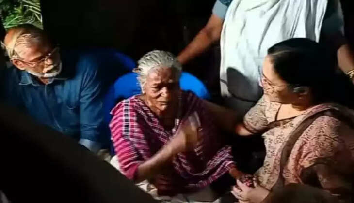 veena