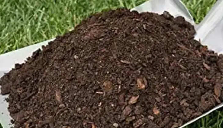 bio fertilizer