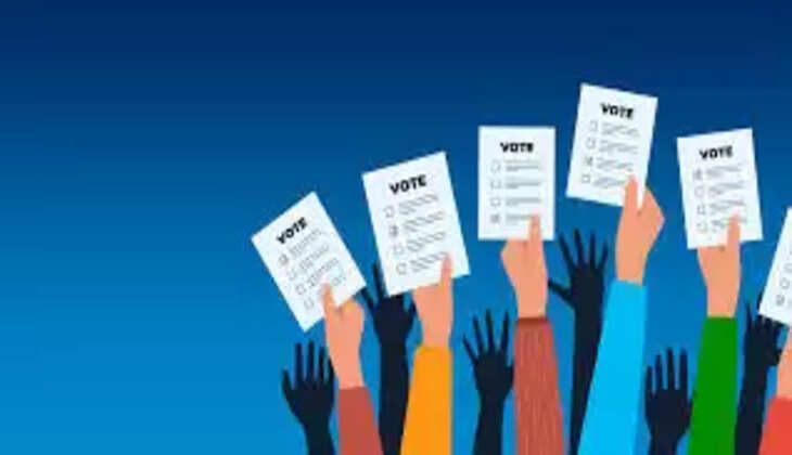 vote