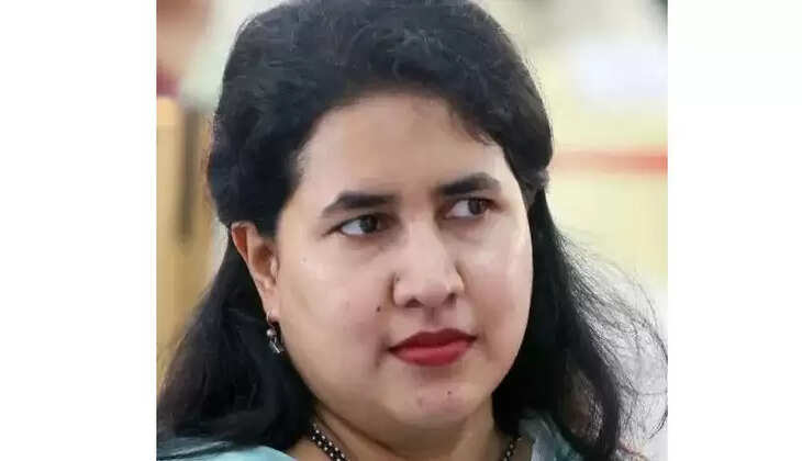 veena