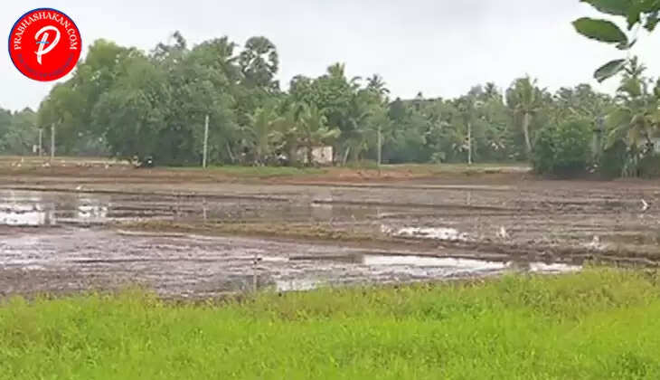 kuttanad.jpg