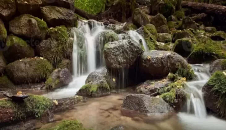 www