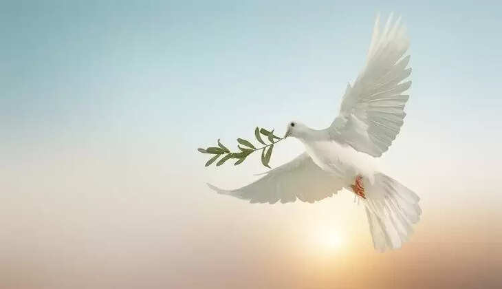 peace