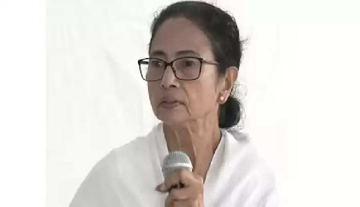 mamta