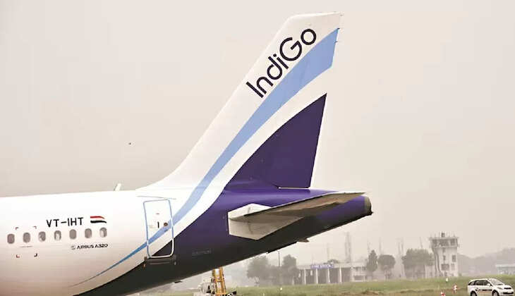 Indgio