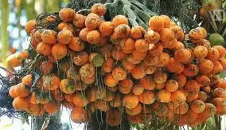 adakkaka