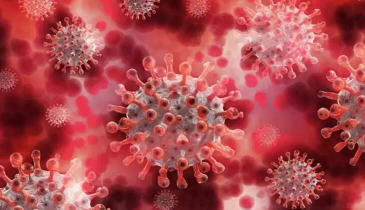 nipah